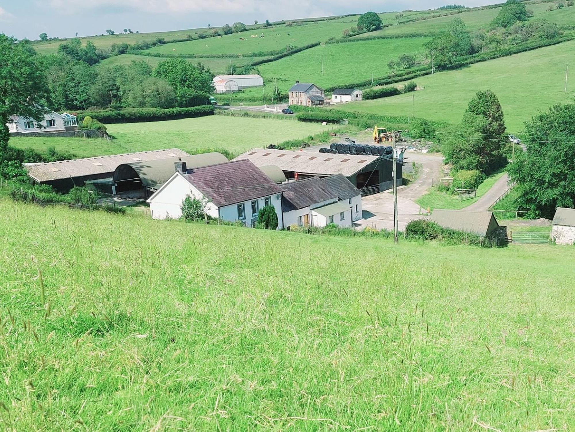 Typicca Farmhouse Brechfa Buitenkant foto